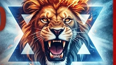 הפסקת אש? סיכום ביניים ל"שאגת הארי"